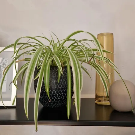 Vendégház Le Clos Des Champis 3*