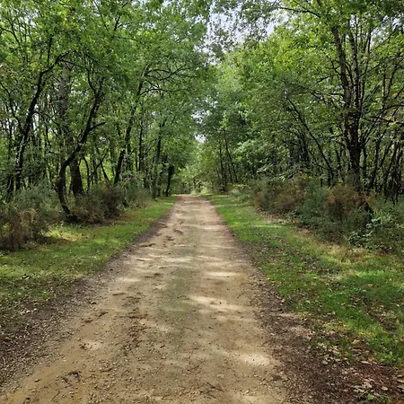 Le Clos Des Champis 3* Scorbé-Clairvaux