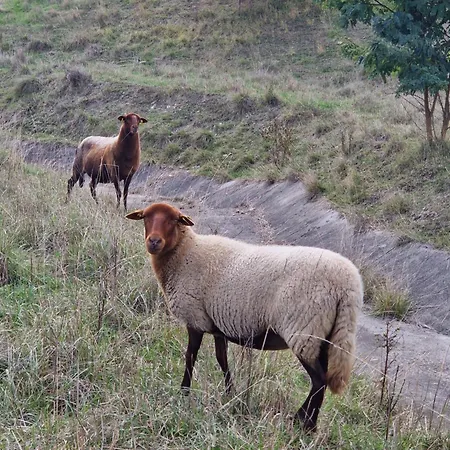 Le Clos Des Champis Vendégház