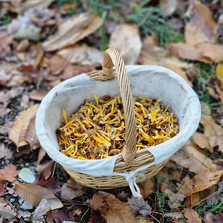 Vendégház Le Clos Des Champis Scorbé-Clairvaux