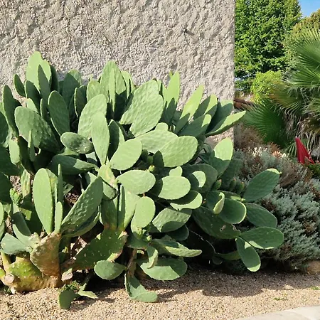 Guest house Le Clos Des Champis