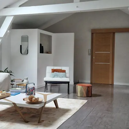 Le Clos Des Champis 3* Scorbé-Clairvaux