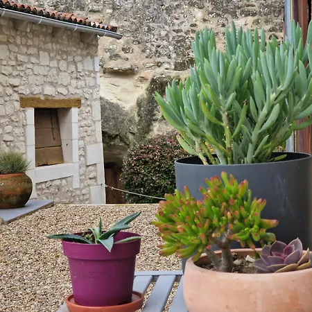 Le Clos Des Champis Scorbé-Clairvaux